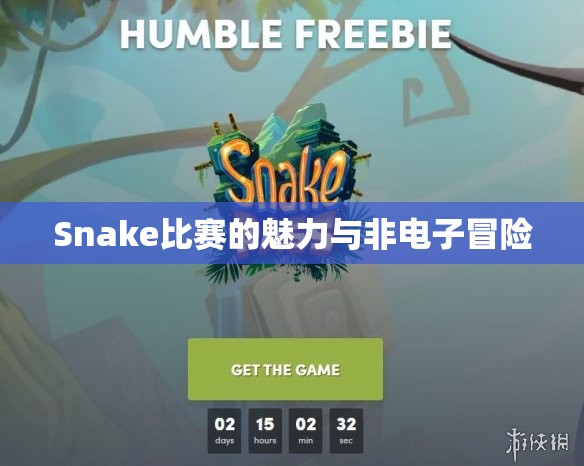 Snake比赛的魅力与非电子冒险