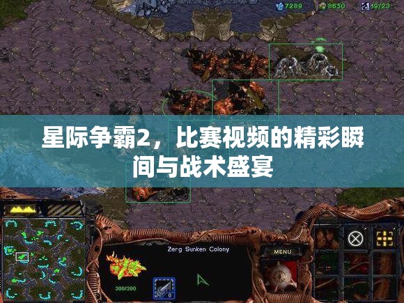 星际争霸2，比赛视频的精彩瞬间与战术盛宴