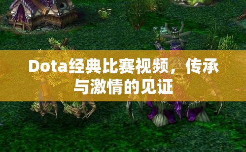 Dota经典比赛视频，传承与激情的见证